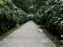 -广州兰圃