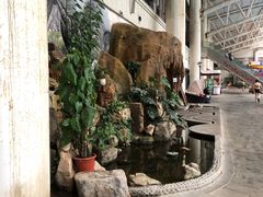-大顶子山温泉旅游区