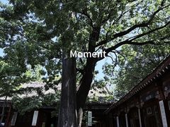-少华山国家森林公园