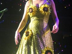 -宝能国际体育演艺中心