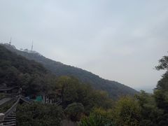 -韬光茶庵