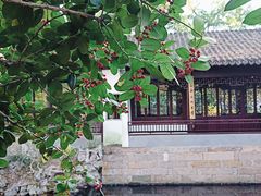-秋霞圃