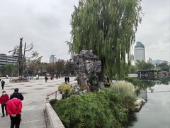 -北湖公园
