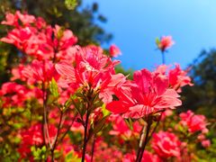 -十九峰景区-倒脱靴