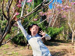 -长白岛森林公园