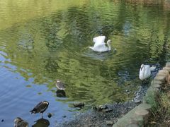 -石家庄市动物园