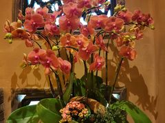 -叶叶菩提·晋福宫