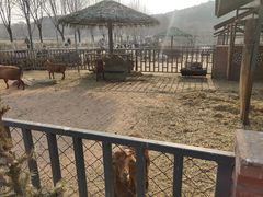 -沈阳森林动物园