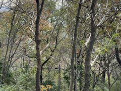 -上海佘山国家森林公园西佘山园