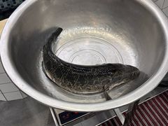 -老四川平头酸菜鱼(衙前店)