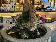 -都江堰石锅鱼