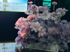 -黑桃K生日订制KTV