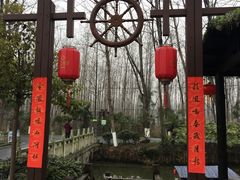 -合肥滨湖国家森林公园