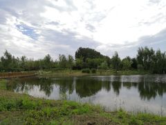 -东郊湿地公园