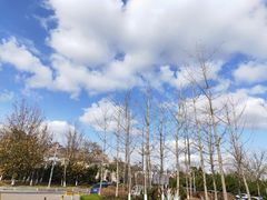 -齐海鱼圣深海石斑鱼火锅店(极地海洋世界店)