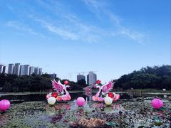 -映月湖公园
