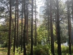 -黑龙江省森林植物园