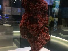 -上海中国航海博物馆