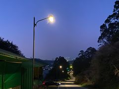 -黄埔油麻山森林公园