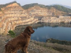 -黄埔油麻山森林公园