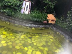 -杭州第一世界大酒店·云曼温泉