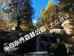 -白水寺森林公园
