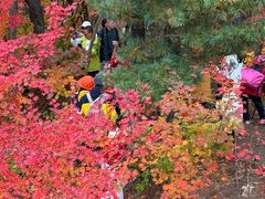 -本溪老边沟风景区