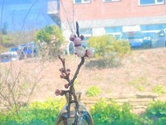 -北马山庄植趣咖啡