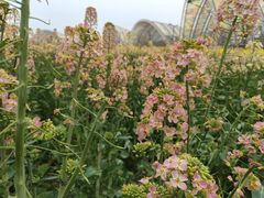 -中国天府农业博览园