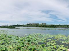 -哈尔滨大剧院