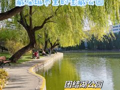 -团结湖公园