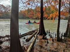 -上海海湾国家森林公园