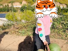 -灵山