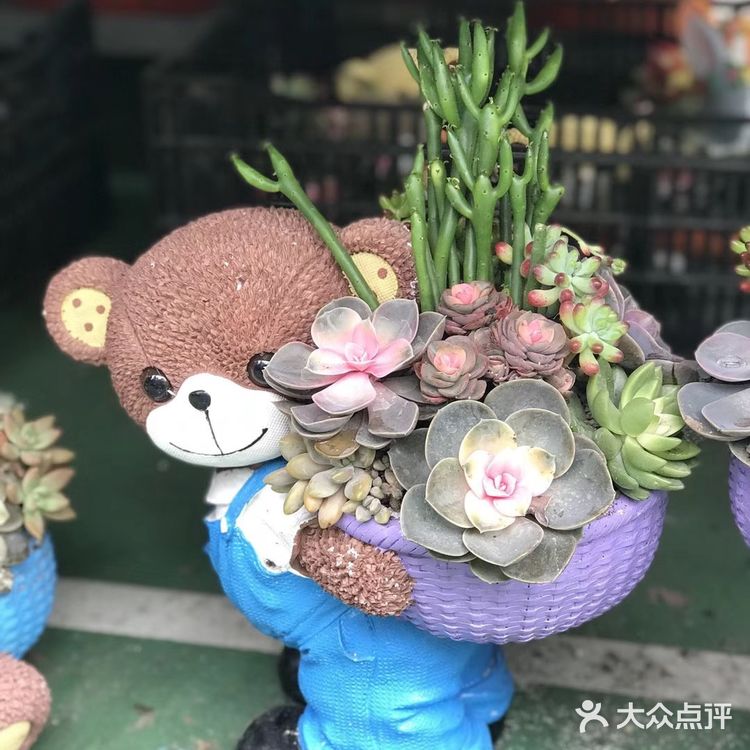逛花市过年咯！