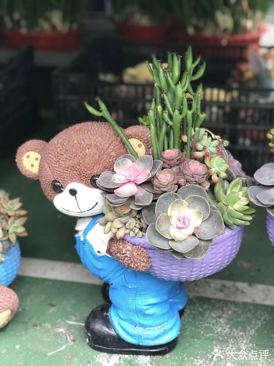 逛花市过年咯！