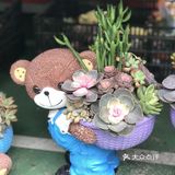 逛花市过年咯！
