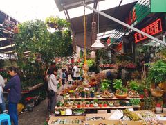 -曲阳花鸟市场(曲阳路店)