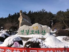 -帽儿山国家森林公园