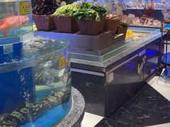 -新海渔港·胶东海鲜家常菜·家宴(奥体中心店)