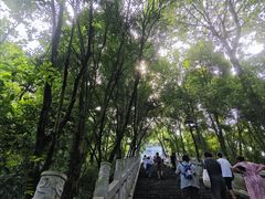 -成都老君山