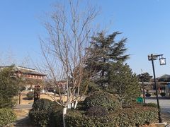 -洛阳古墓博物馆