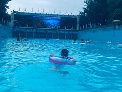 -欢乐水魔方水世界