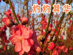 -水濂山森林公园