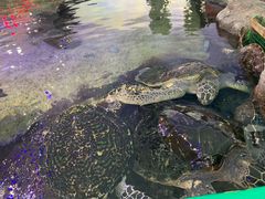 -鸿通城购物中心