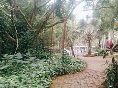 -海南热带野生动植物园