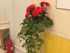 -汤泉良子.足疗按摩.SPA(中关村店)