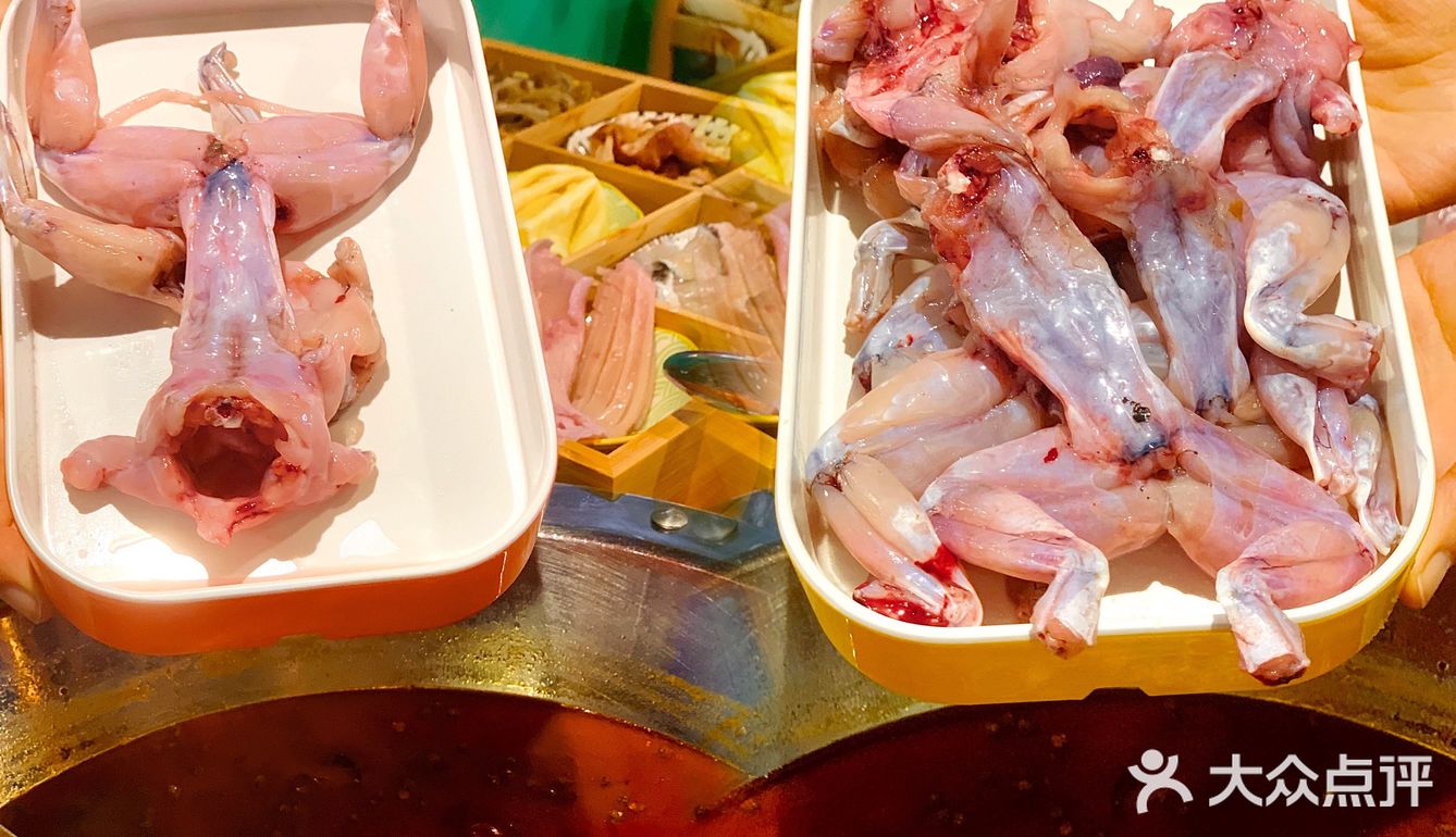 终于实现了牛蛙自由的牛蛙火锅