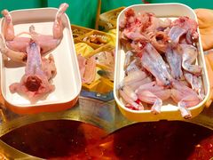 -铭记蛙小仙·活蛙畅享(CBD万达广场店)