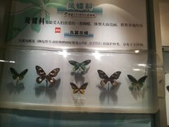 -吉林省自然博物馆
