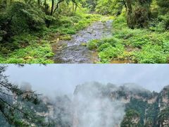 -张家界天门山国家森林公园